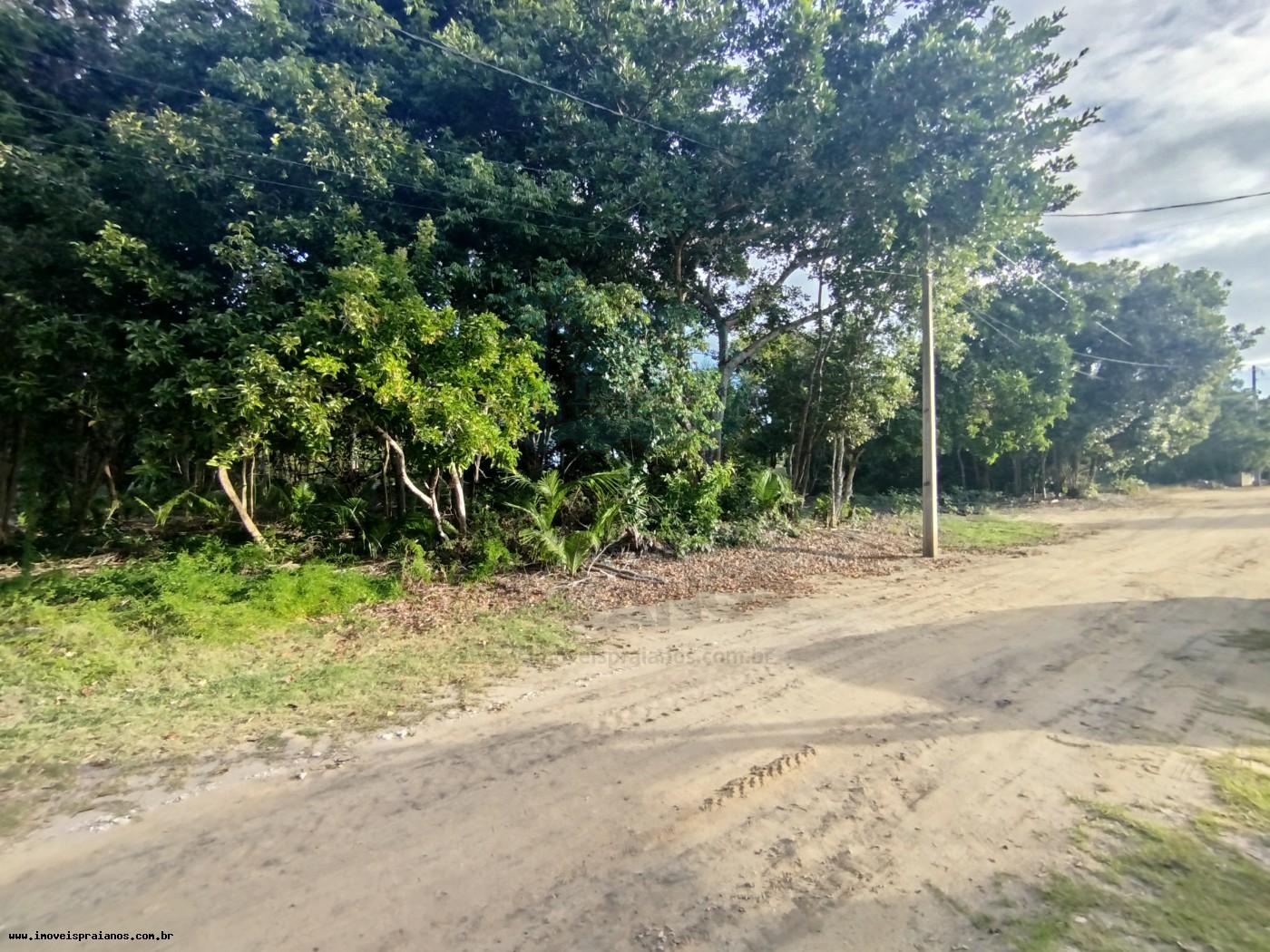 Terreno, 1640 m² - Foto 2