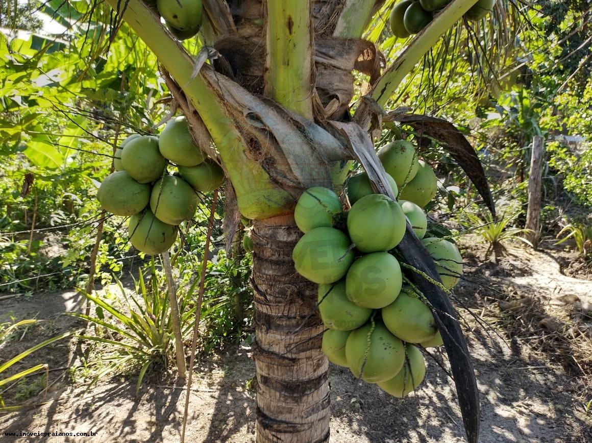 Chácara, 4 quartos, 5000 m² - Foto 29
