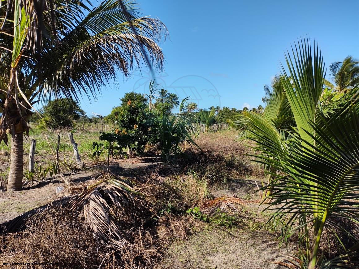 Chácara, 4 quartos, 5000 m² - Foto 30