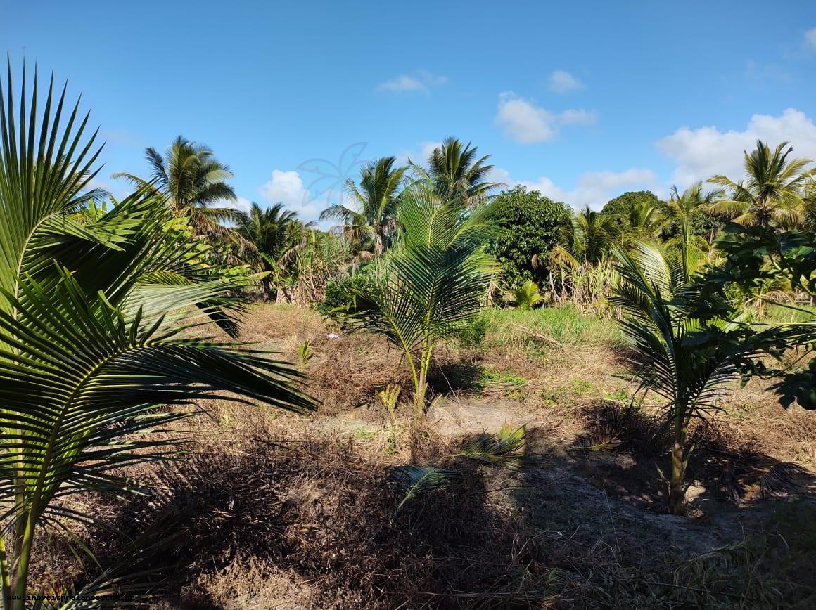 Chácara, 4 quartos, 5000 m² - Foto 28