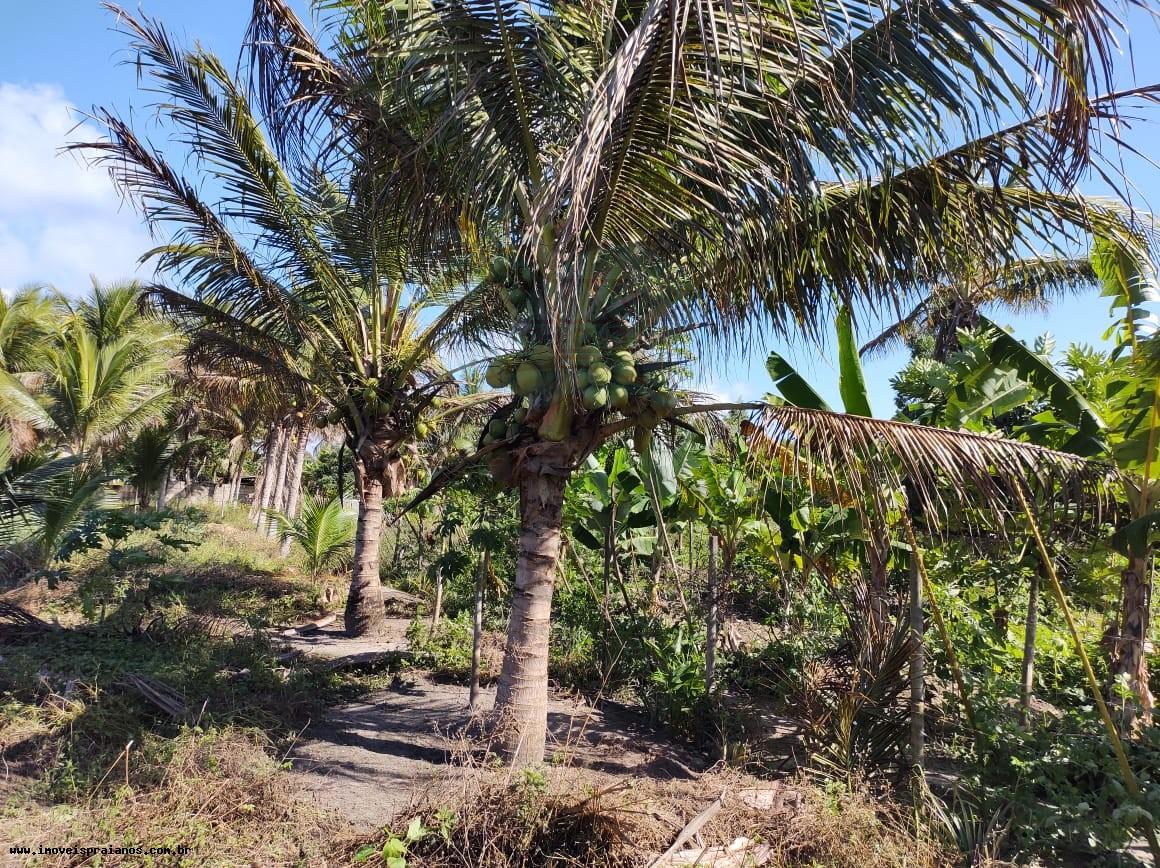 Chácara, 4 quartos, 5000 m² - Foto 31