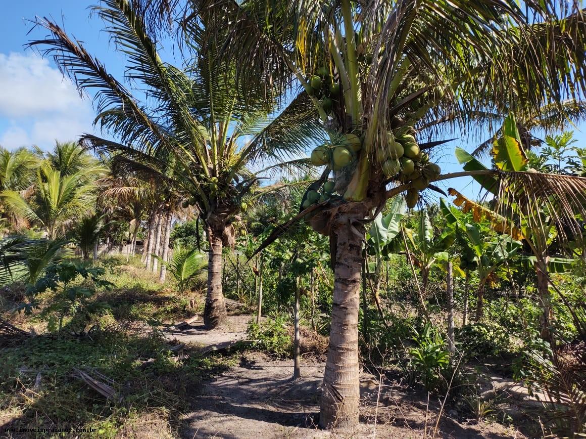 Chácara, 4 quartos, 5000 m² - Foto 33